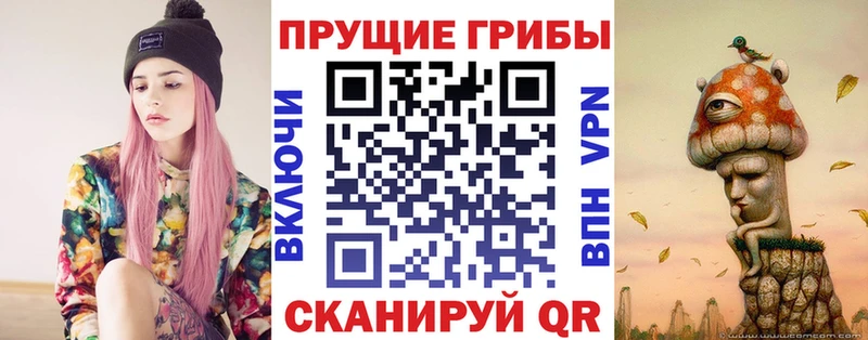 блэк спрут онион  Лукоянов  Галлюциногенные грибы мицелий 
